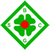 BSC Grünhöfe Männer