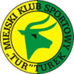Tur Turek