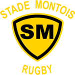 Stade Montois