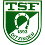 TSF Ditzingen