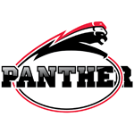 Düsseldorf Panther
