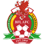 Briton Ferry Llansawel AFC