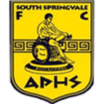 South Springvale FC
