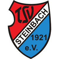 TSV Steinbach Haiger Herren