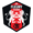 FC Fleury 91