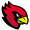 Assindia Cardinals