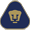 Pumas UNAM 3a División U20