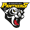 Ringerike Panthers