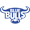 Blue Bulls