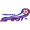 Fremantle City FC