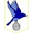 Abertillery Bluebirds
