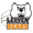 Leuven Bears