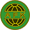 Ålgård FK