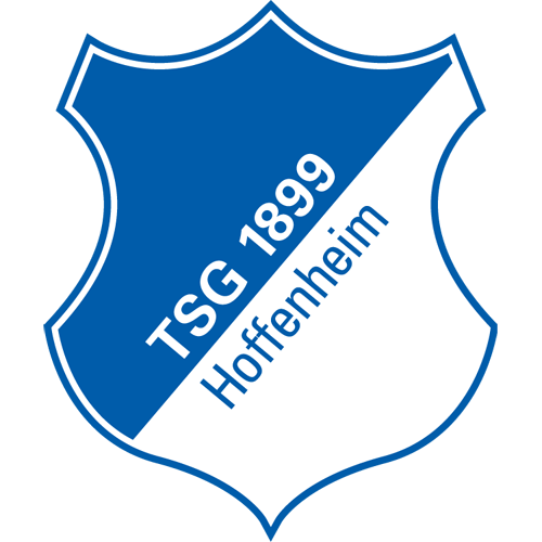 VfL Wolfsburg