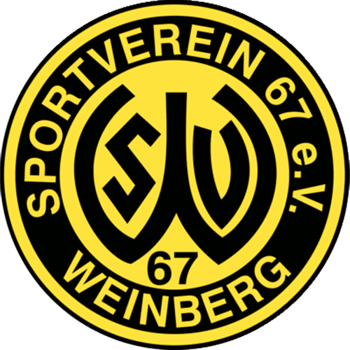 VfL Wolfsburg