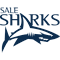 Sale Sharks