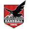 Sparkasse Schwaz Handball Tirol