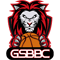 Lions de Genève U23