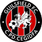 Guilsfield FC
