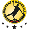 Bregenz Handball