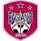 Fagiano Okayama