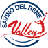Pallavolo Scandicci