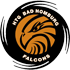 Falcons Bad Homburg