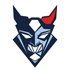 Blue Devils Weiden