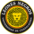 Leones Negros