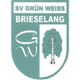 SV Grün-Weiß BrieselangHerren