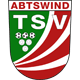 TSV Abtswind Männer