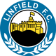 Linfield FC Männer