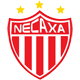 Club Necaxa U17