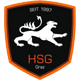 HSG Holding Graz