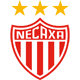 Club Necaxa U13