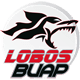 Lobos BUAP U13