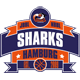 Sharks Hamburg U16