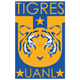 UANL Tigres 3a División U20