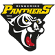 Ringerike Panthers