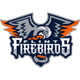 Flint Firebirds U21