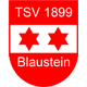 TSV Blaustein Männer