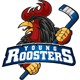 Young Roosters U20