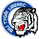 Bílí Tygři Liberec U20