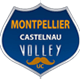 Montpellier Volley Männer