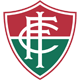 Fluminense - PI