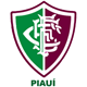 Fluminense - PI U20