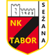 NK Tabor Sežana  U19