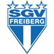 SGV FreibergHerren