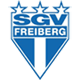 SGV Freiberg