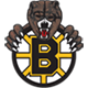 Boston Jr. Bruins U18